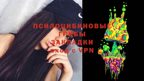 MDMA Заводоуковск